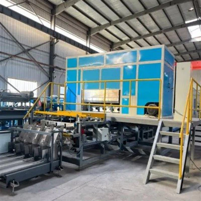 Egg Tray Line Customer China